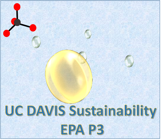 EPA P3 Logo