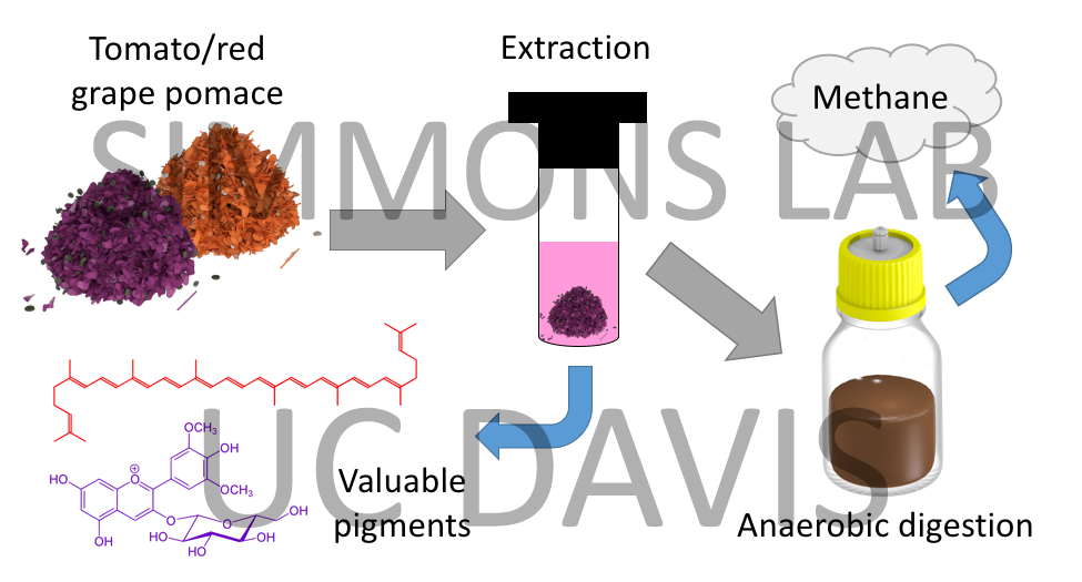 Valorization of food processing residues