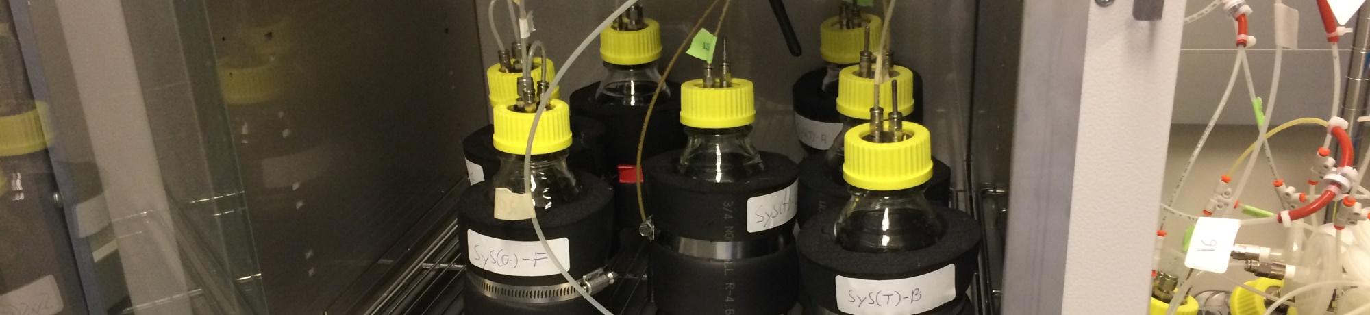 Bio-solarization reactors - aerobic