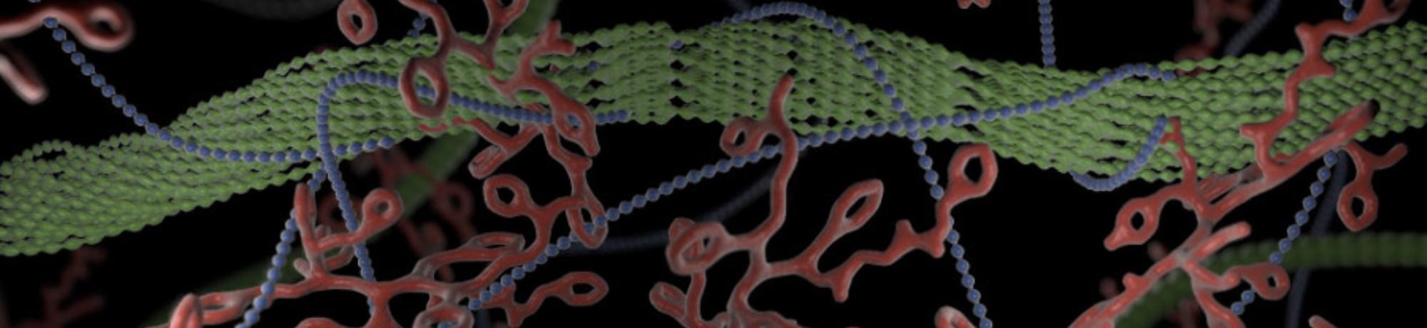 Unlocking sugars from food processing residues for biofuel production